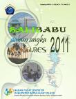 Salibabu In Figures 2011