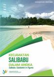 Kecamatan Salibabu Dalam Angka 2022