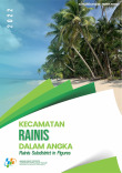 Kecamatan Rainis Dalam Angka 2022